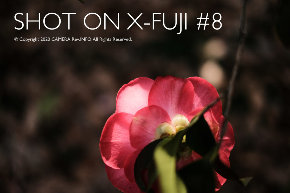 フジノンレンズ「XF35mmF1.4」と「XF35mmF2」を徹底比較 ...